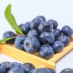 Blueberry Yaban Mersini Paketli 125 gr