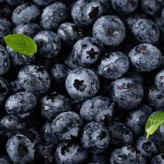 Blueberry Yaban Mersini Paketli 125 gr