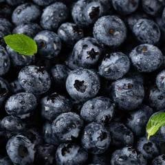 Blueberry Yaban Mersini Paketli 125 gr