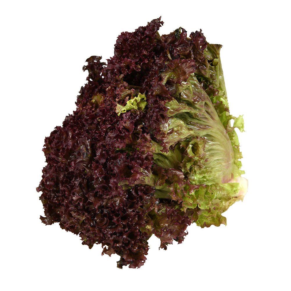 Akdeniz Salata 1 Adet