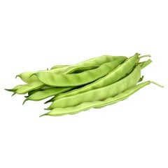 Fasülye Çalı 1 kg