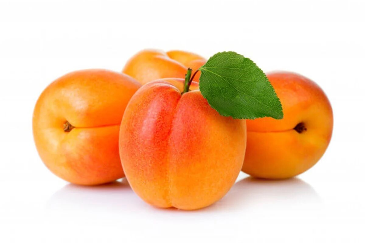 Kayısı Malatya 1 Kg