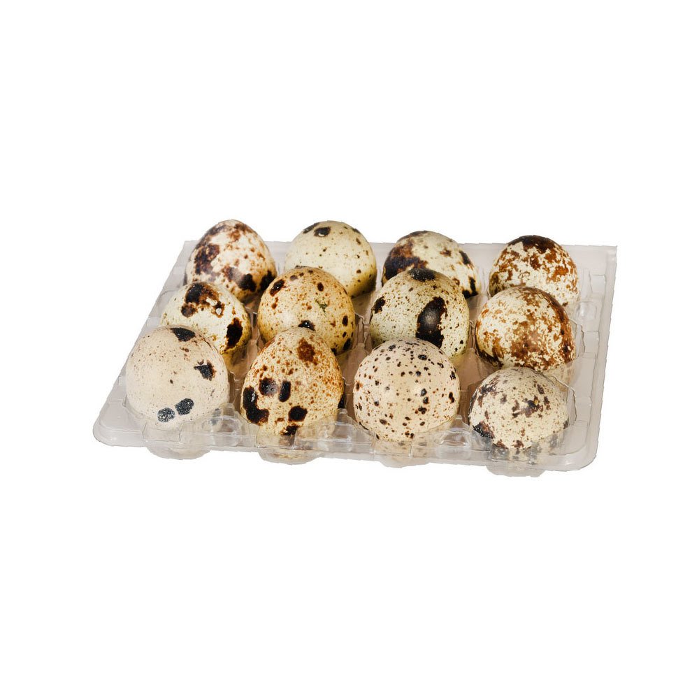 Bıldırcın Yumurtası 1 pk