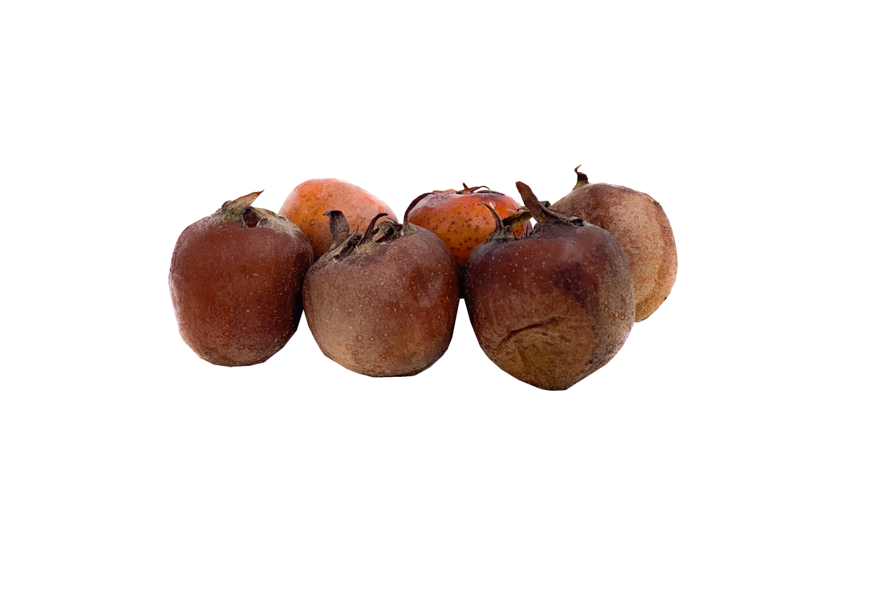 Muşmula 1 Kg