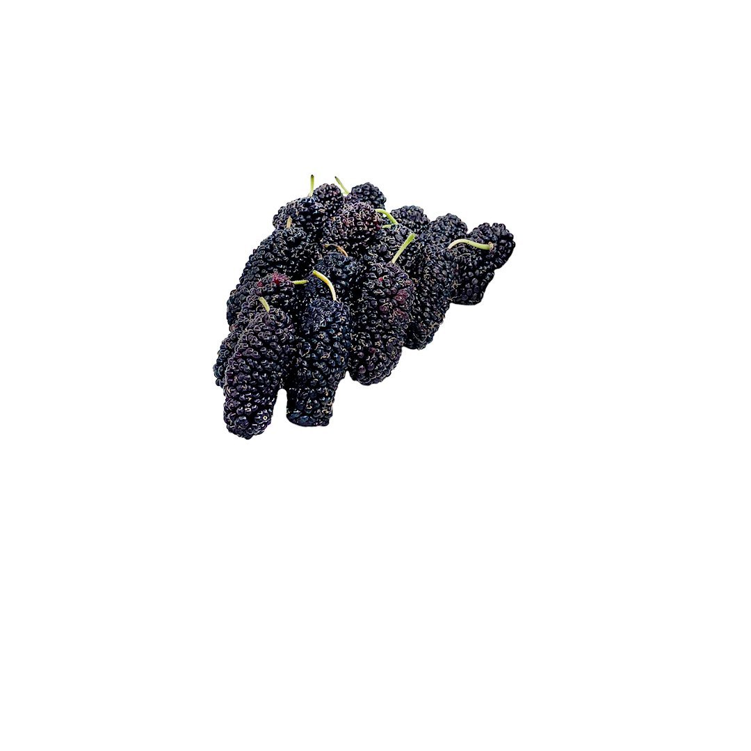 Karadut 500 gr