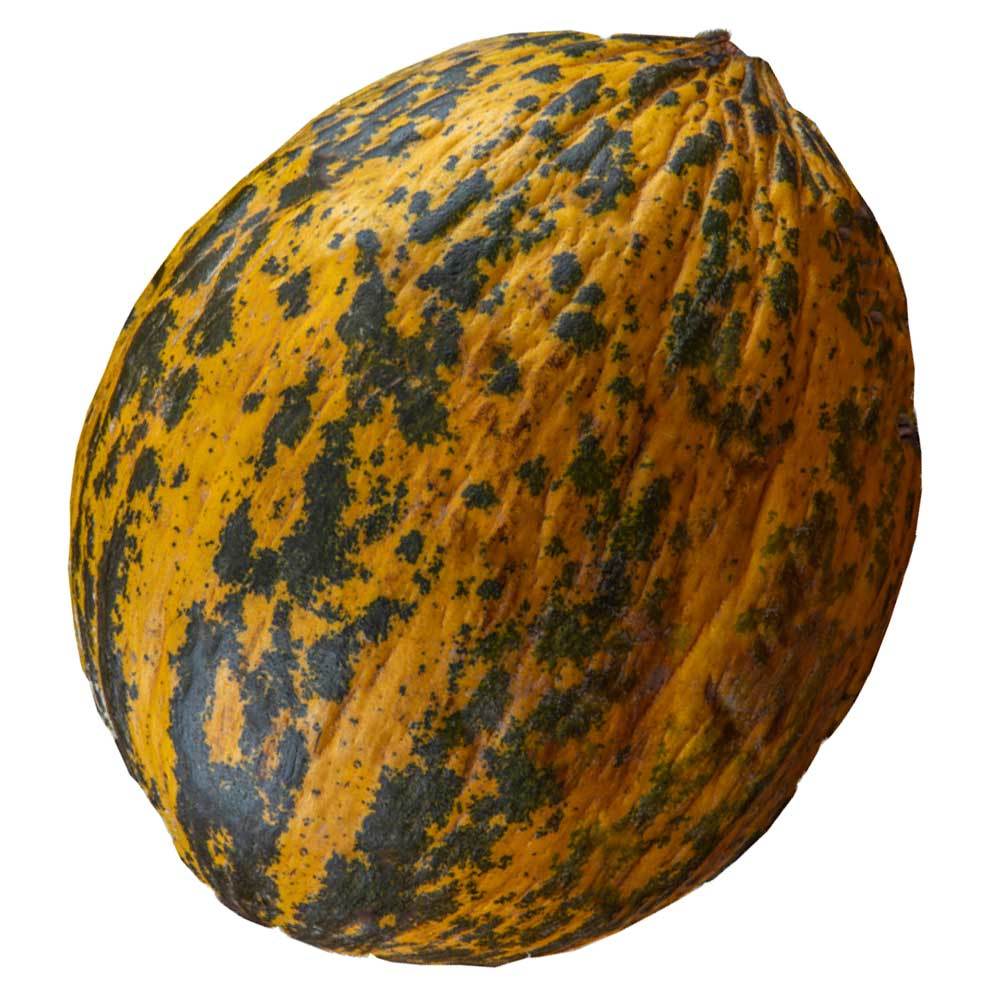 Kavun 1 Adet (~3 - 3.5 kg)