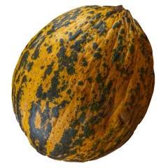 Kavun 1 Adet (~3 - 3.5 kg)