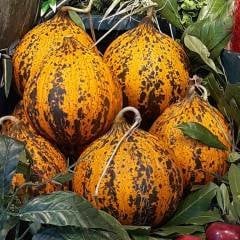 Kavun 1 Adet (~4.5 kg)