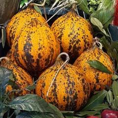 Kavun 1 Adet (~3 - 3.5 kg)