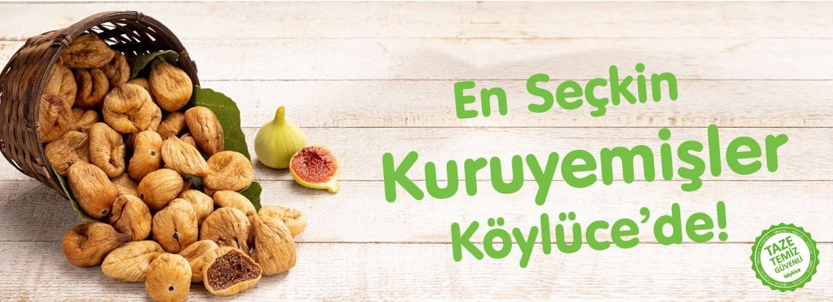 KURUYEMİŞ